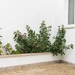 Bed & Breakfast Casa Do Visconde Alcaide