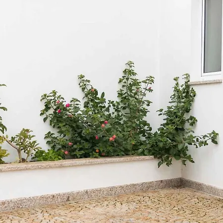 Bed & Breakfast Casa Do Visconde Alcaide