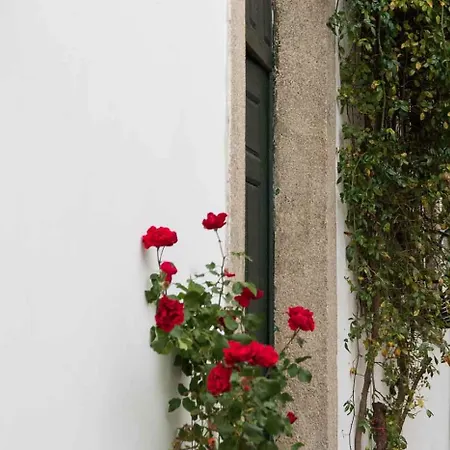 Bed & Breakfast Casa Do Visconde Alcaide