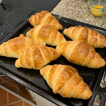 Casa Do Visconde Alcaide