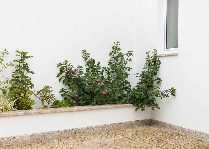 לינה וארוחת בוקר Casa Do Visconde Alcaide